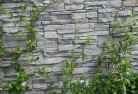 Pheasants Nestgreen-walls-4.jpg; ?>